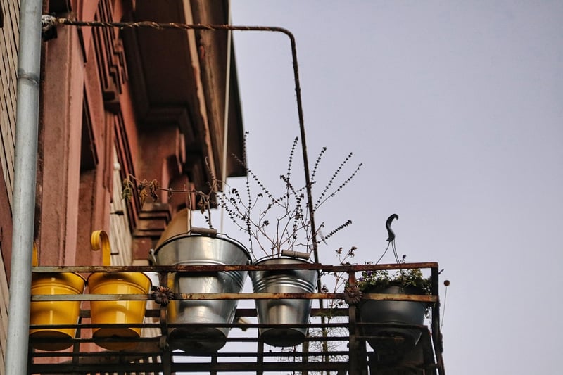 Balcony Garden